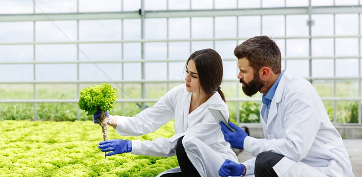 Агропромышленность к 2022 году: началось масштабное интенсивное возделывание земли